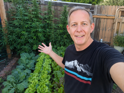 Robert Portillo showing rows of vegetables and tall cannabis plants in his backyard garden